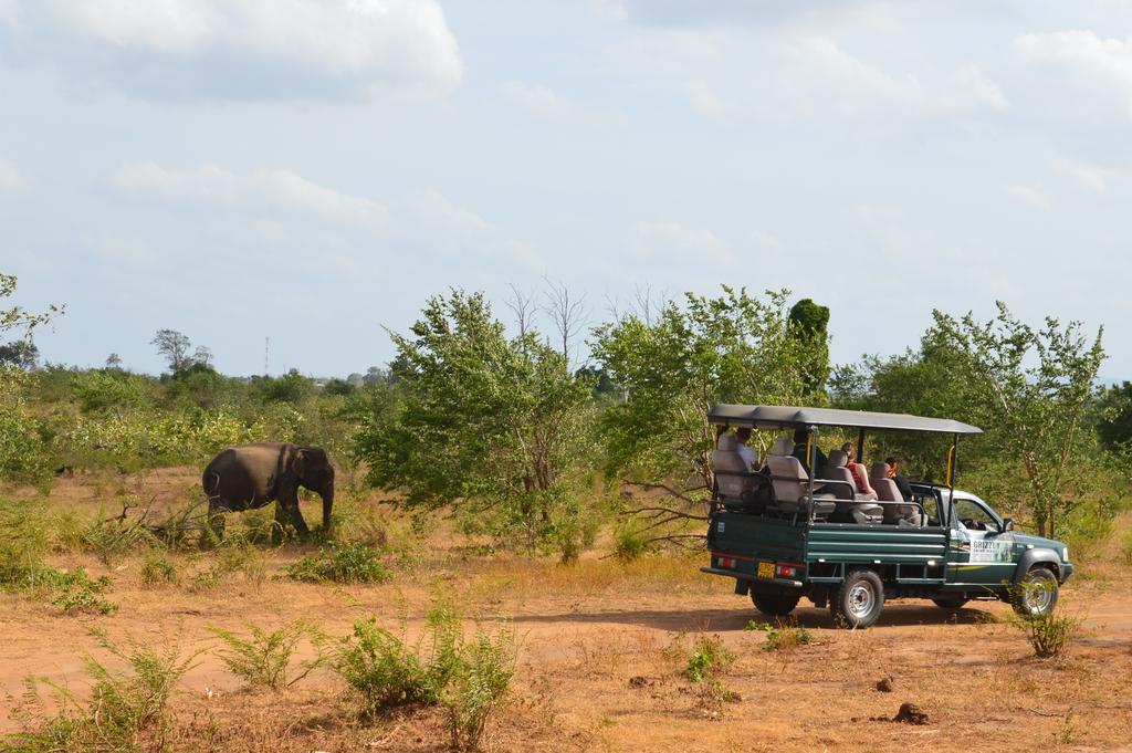 Wild Panthera Yala Tissamaharama Kültér fotó