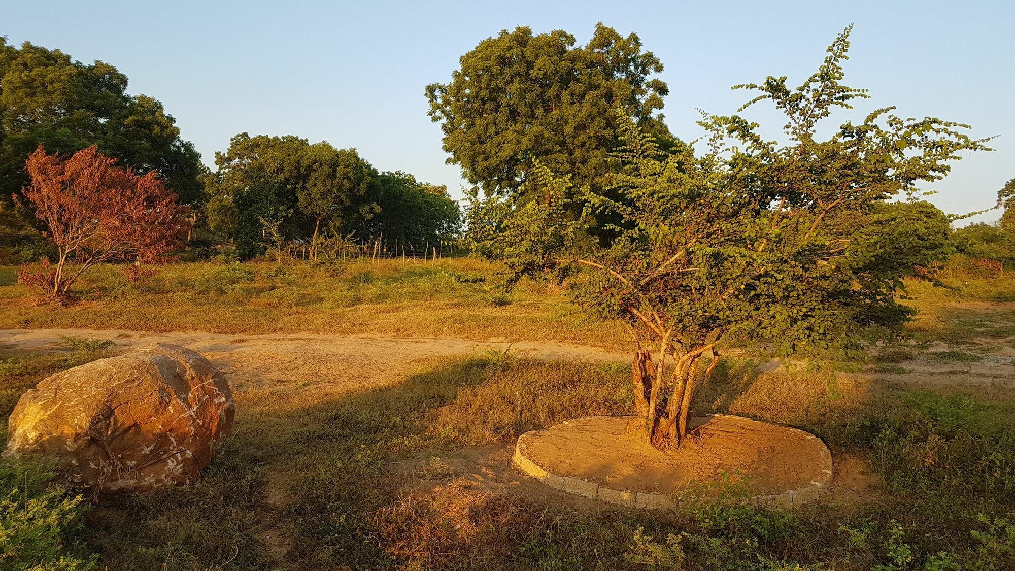 Wild Panthera Yala Tissamaharama Kültér fotó